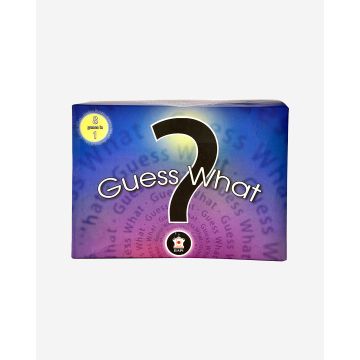 Guess What? (8 fun games)